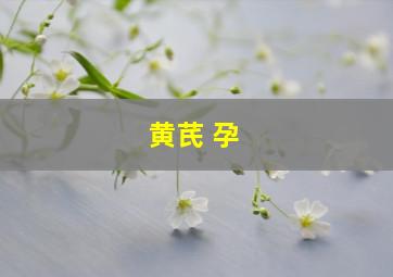 黄芪 孕